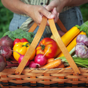 Des graines de légumes bios pour un potager savoureux.