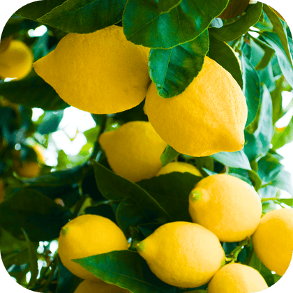 //mybleen.com/cdn/shopifycloud/storefront/assets/no-image-2048-a2addb12.gif