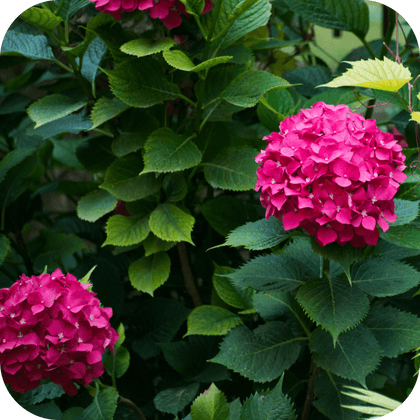 //mybleen.com/cdn/shopifycloud/storefront/assets/no-image-2048-a2addb12.gif