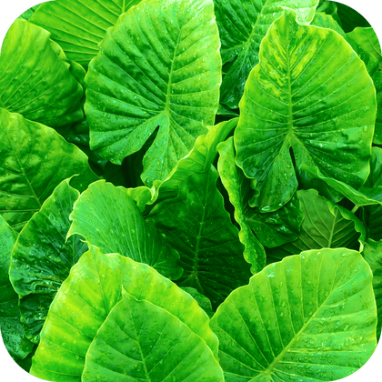 //mybleen.com/cdn/shopifycloud/storefront/assets/no-image-2048-a2addb12.gif