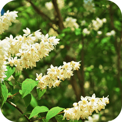 //mybleen.com/cdn/shopifycloud/storefront/assets/no-image-2048-a2addb12.gif