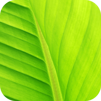 //mybleen.com/cdn/shopifycloud/storefront/assets/no-image-2048-a2addb12.gif