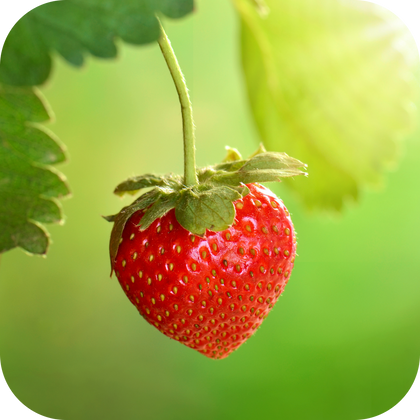 //mybleen.com/cdn/shopifycloud/storefront/assets/no-image-2048-a2addb12.gif