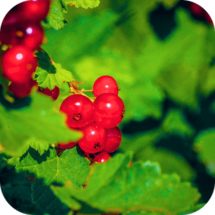//mybleen.com/cdn/shopifycloud/storefront/assets/no-image-2048-a2addb12.gif