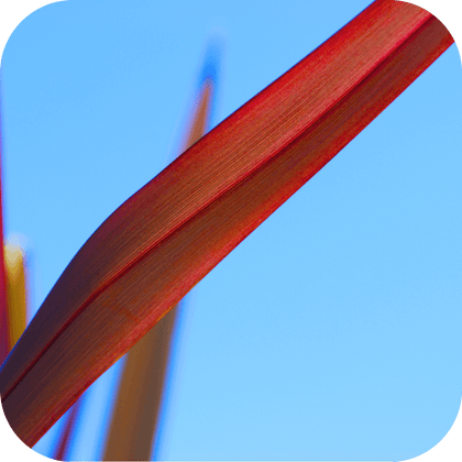 //mybleen.com/cdn/shopifycloud/storefront/assets/no-image-2048-a2addb12.gif