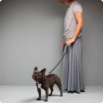 //mybleen.com/cdn/shopifycloud/storefront/assets/no-image-2048-a2addb12.gif