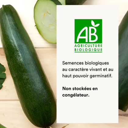 //mybleen.com/cdn/shopifycloud/storefront/assets/no-image-2048-a2addb12.gif