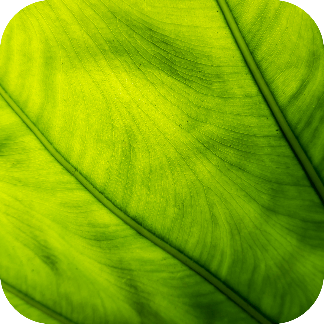 //mybleen.com/cdn/shopifycloud/storefront/assets/no-image-2048-a2addb12.gif