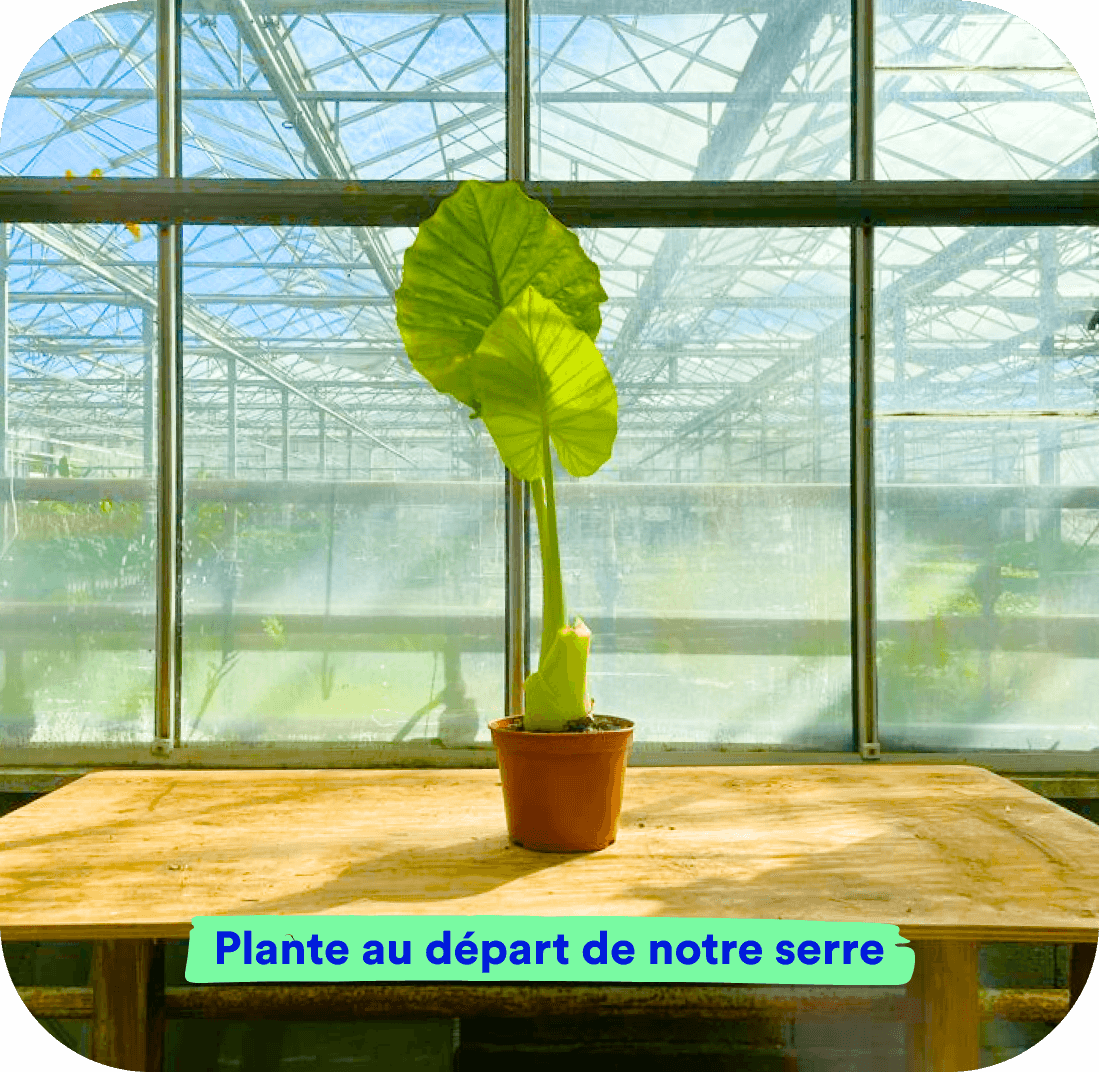 //mybleen.com/cdn/shopifycloud/storefront/assets/no-image-2048-a2addb12.gif
