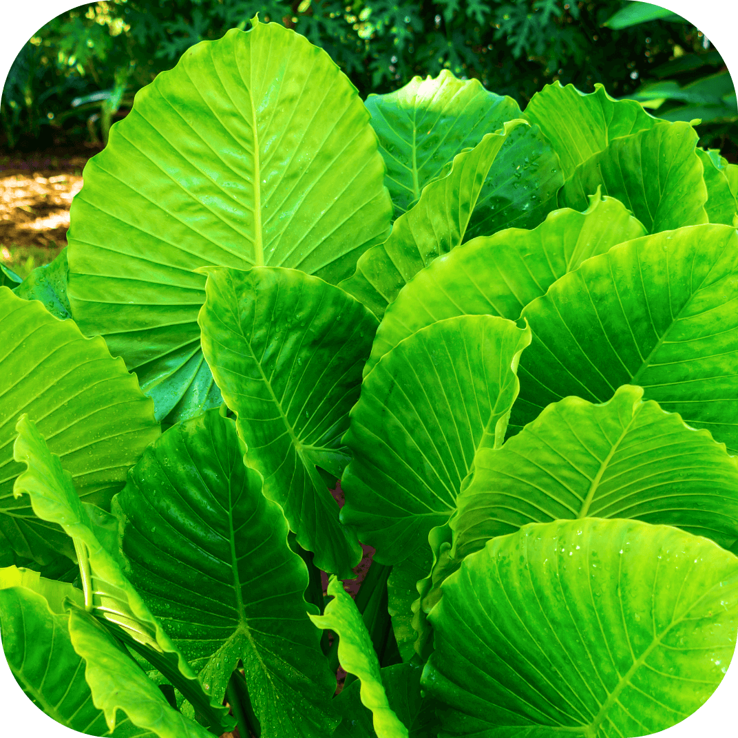 //mybleen.com/cdn/shopifycloud/storefront/assets/no-image-2048-a2addb12.gif