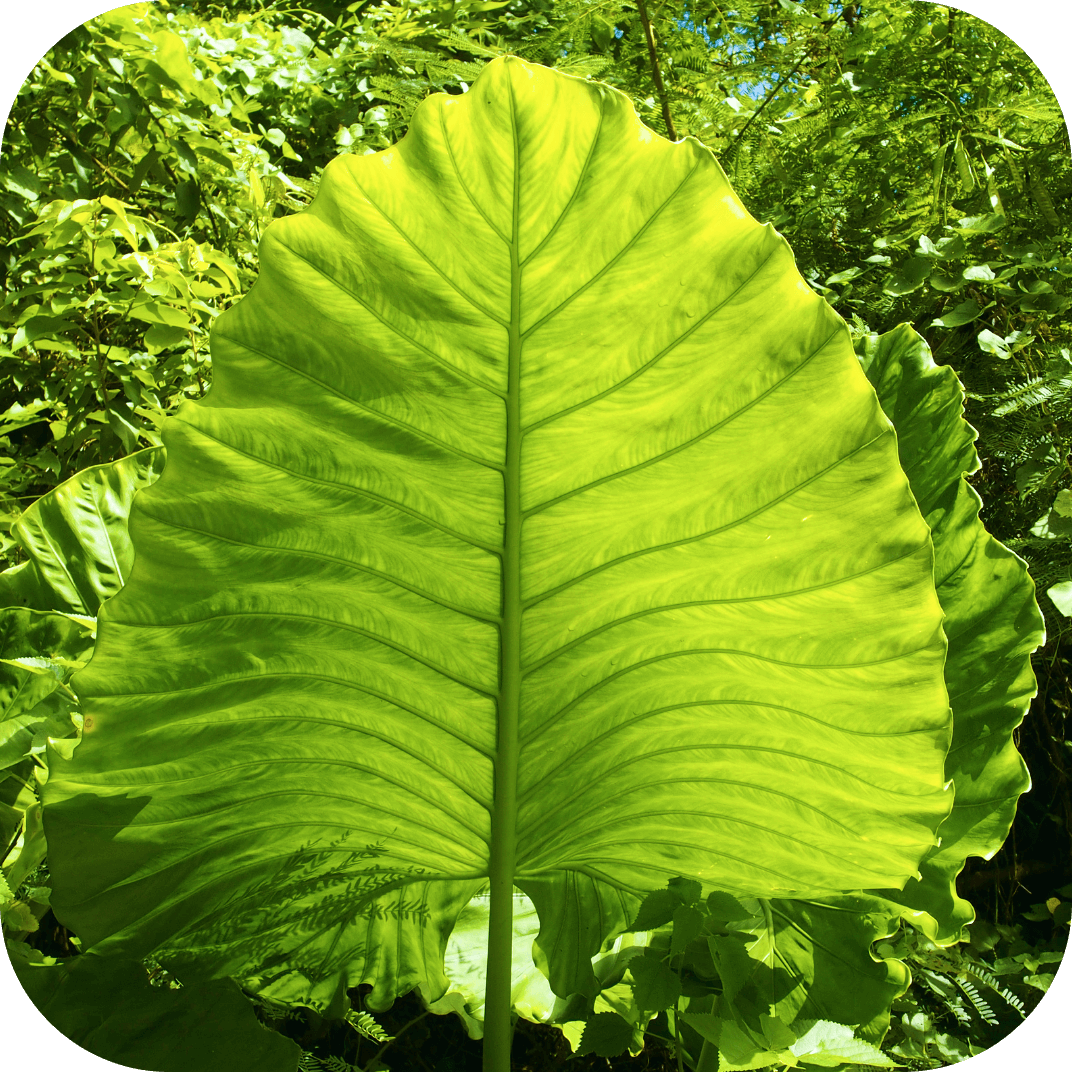 //mybleen.com/cdn/shopifycloud/storefront/assets/no-image-2048-a2addb12.gif