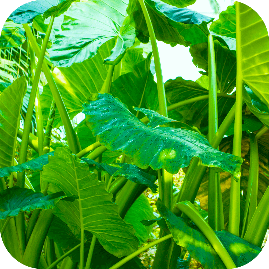 //mybleen.com/cdn/shopifycloud/storefront/assets/no-image-2048-a2addb12.gif