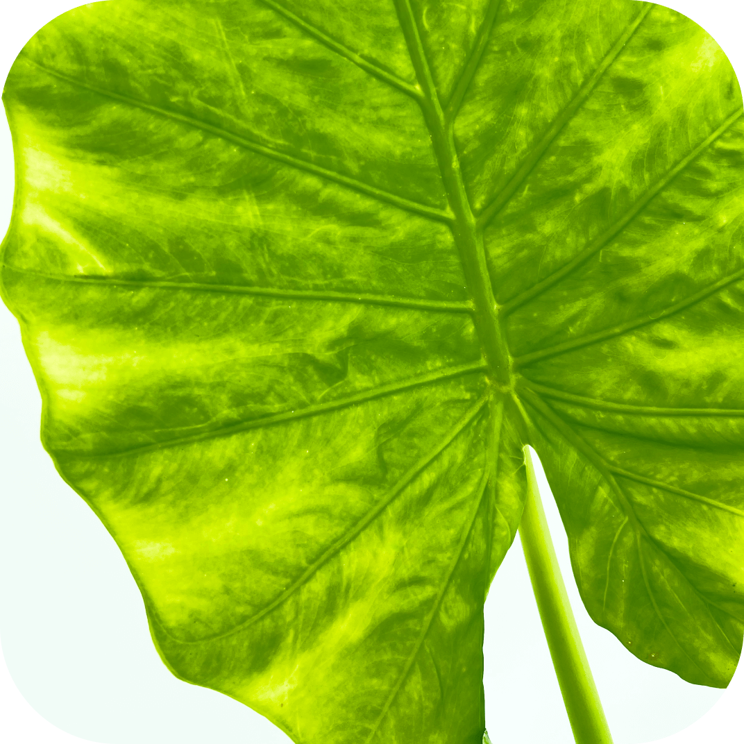 //mybleen.com/cdn/shopifycloud/storefront/assets/no-image-2048-a2addb12.gif