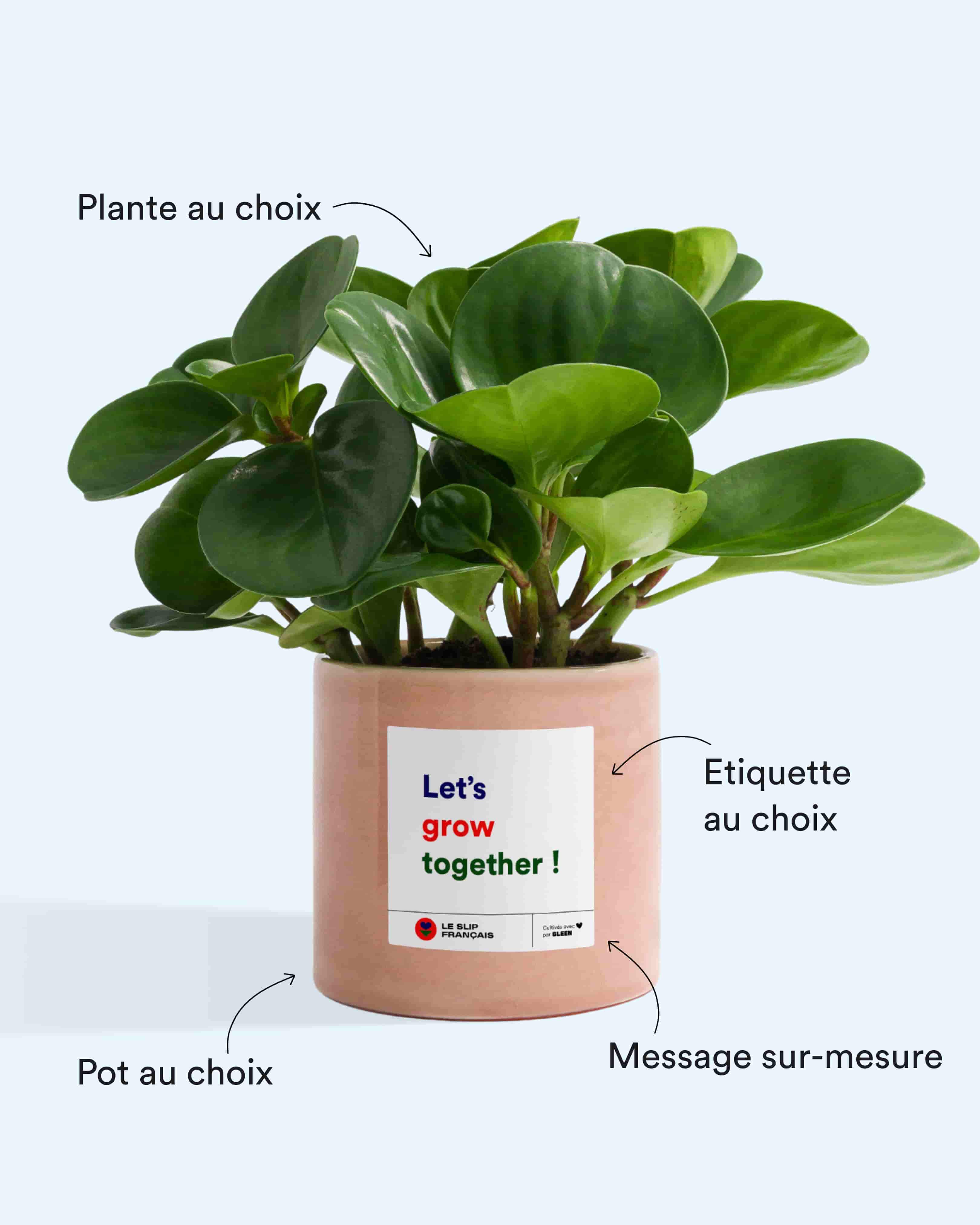 Alt image