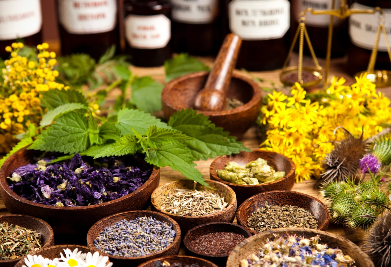 Alternatives naturelles aux insecticides : lutter contre les moustique ...