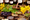 Plantes 
