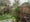 Jardin sous la pluie.