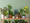 Prendre soin de tes plantes d'intérieur en hiver : Astuces pour leur bien-être