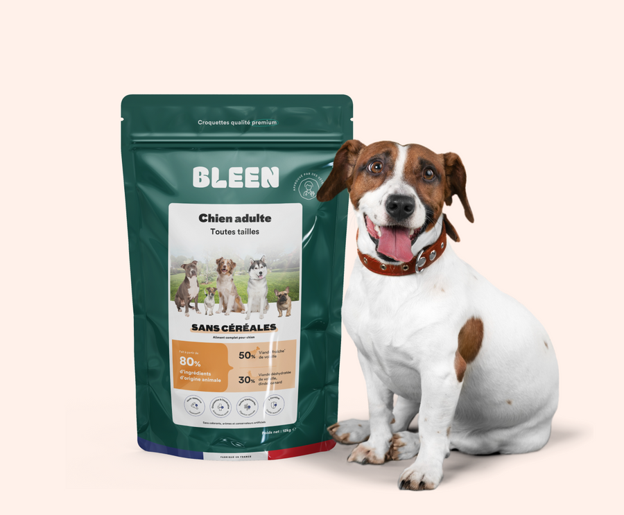 Croquettes chien adulte light