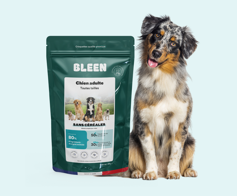 Croquettes riches en protéines