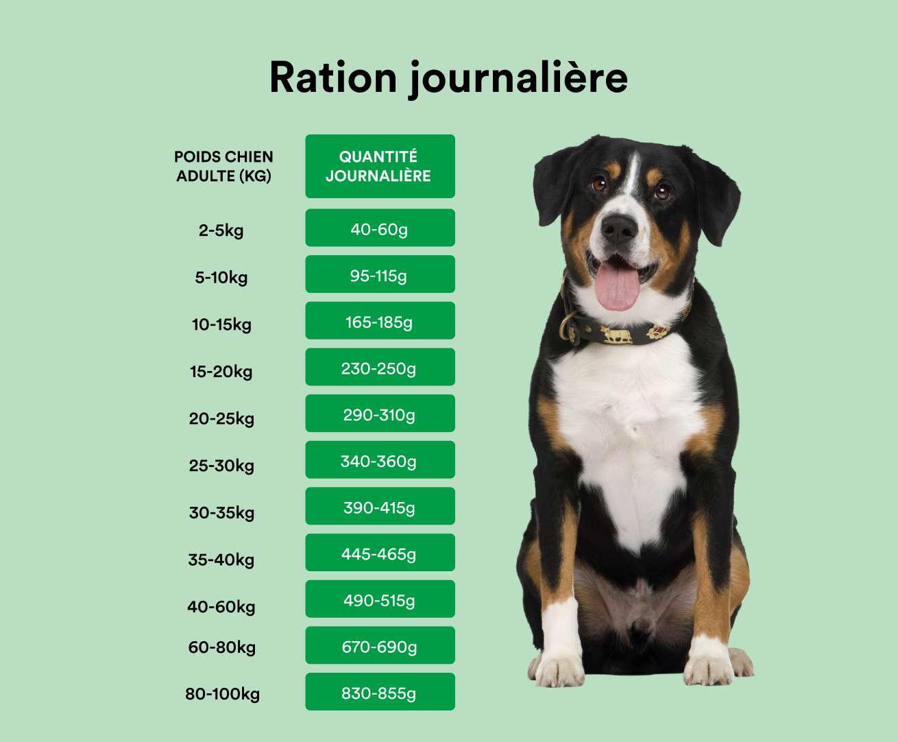 Croquettes hypoallergéniques