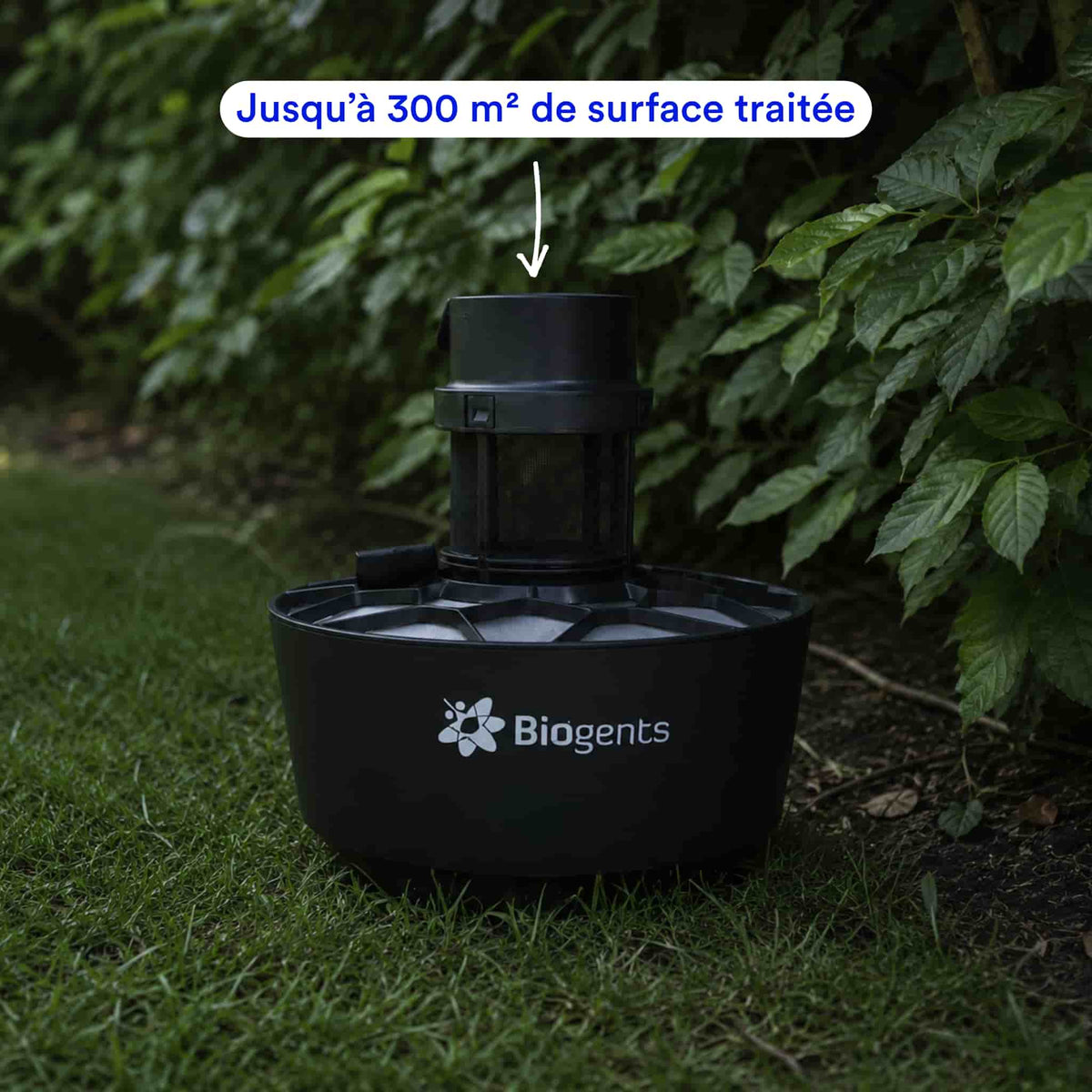 //mybleen.com/cdn/shopifycloud/storefront/assets/no-image-2048-a2addb12.gif