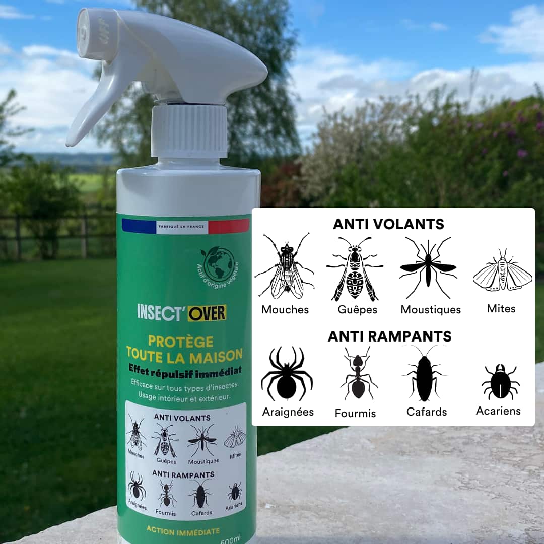 Insectes adhésifs en caoutchouc souple - - Caoutchouc souple Insectes adhésifs en caoutchouc souple - - Caoutchouc souple