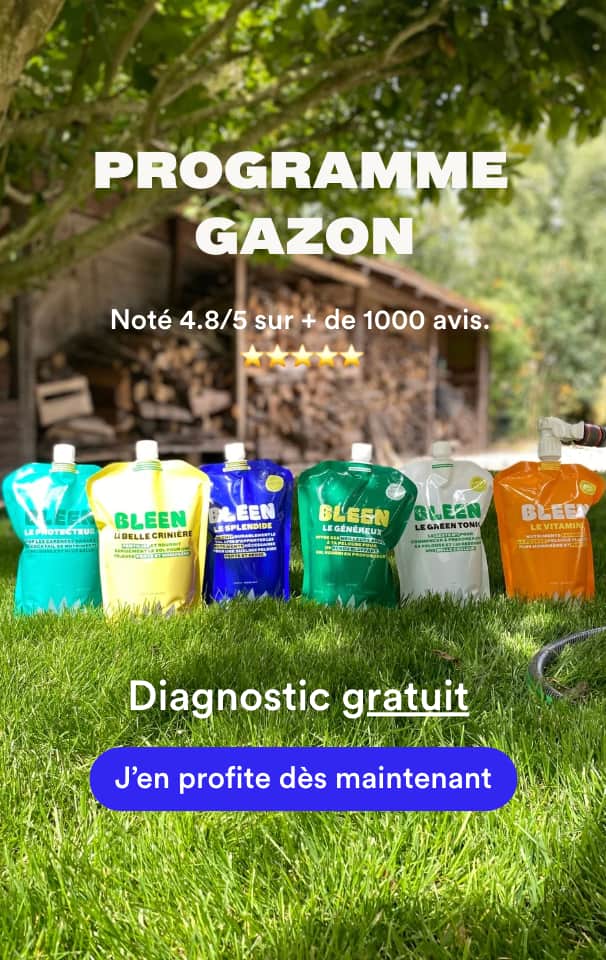 Bloc image collection