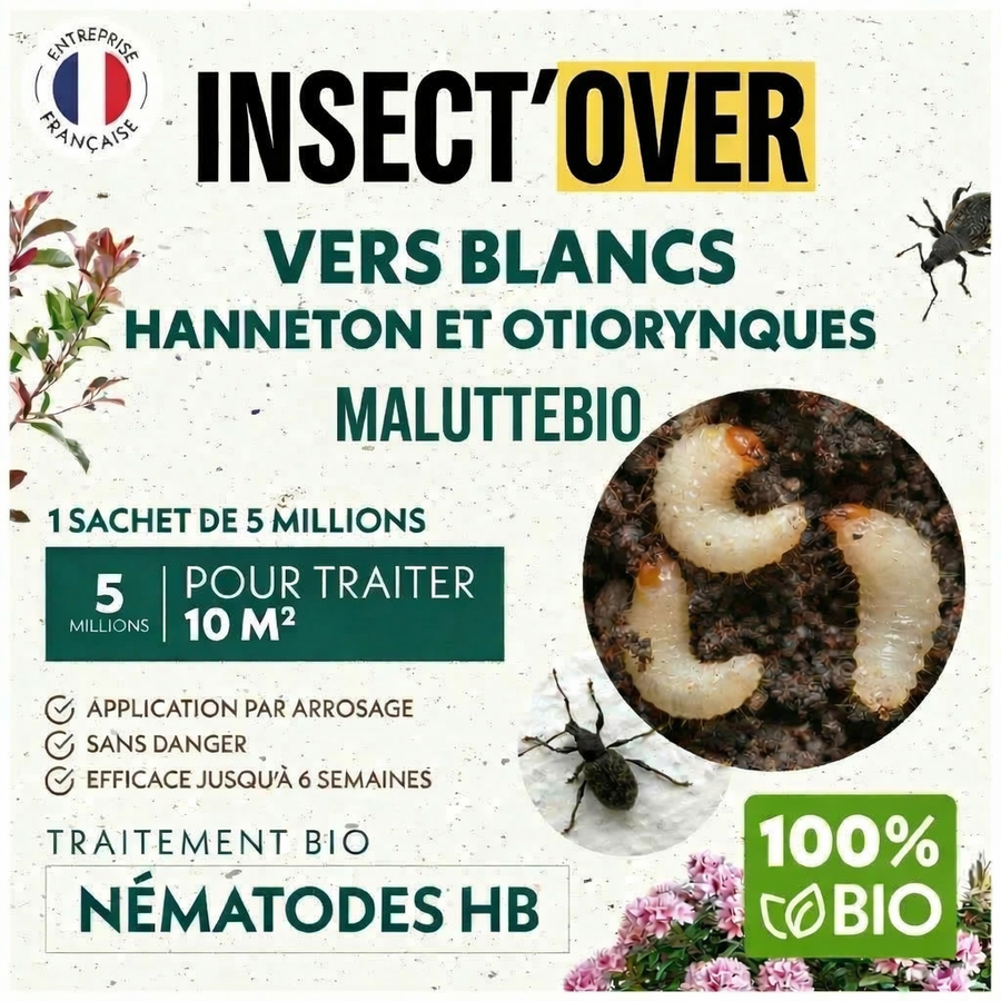 Nématodes pelouse et gazon anti vers blanc