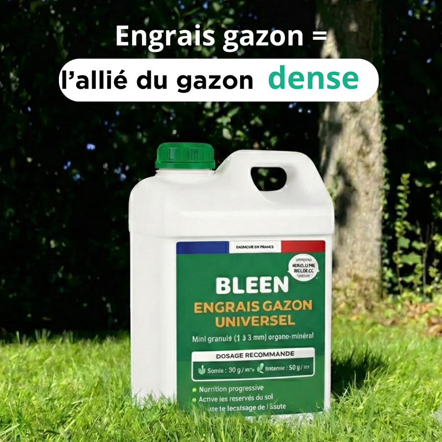 Engrais gazon universel solide