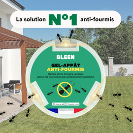 Gel appât anti-fourmis