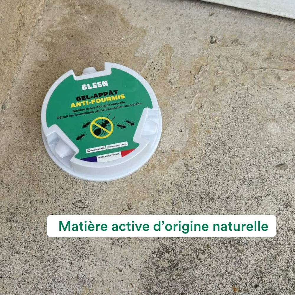Gel appât anti-fourmis