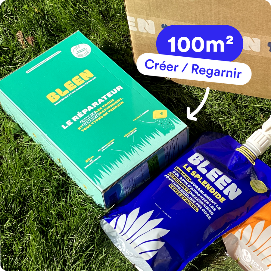 Création et rénovation gazon