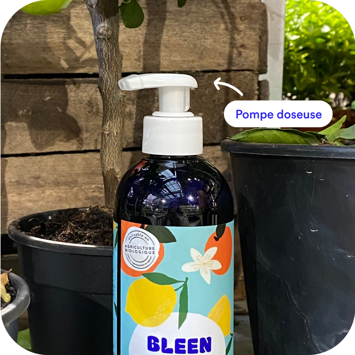 Kit premium engrais liquide naturel et bio pour plantes d'intérieur – Bleen