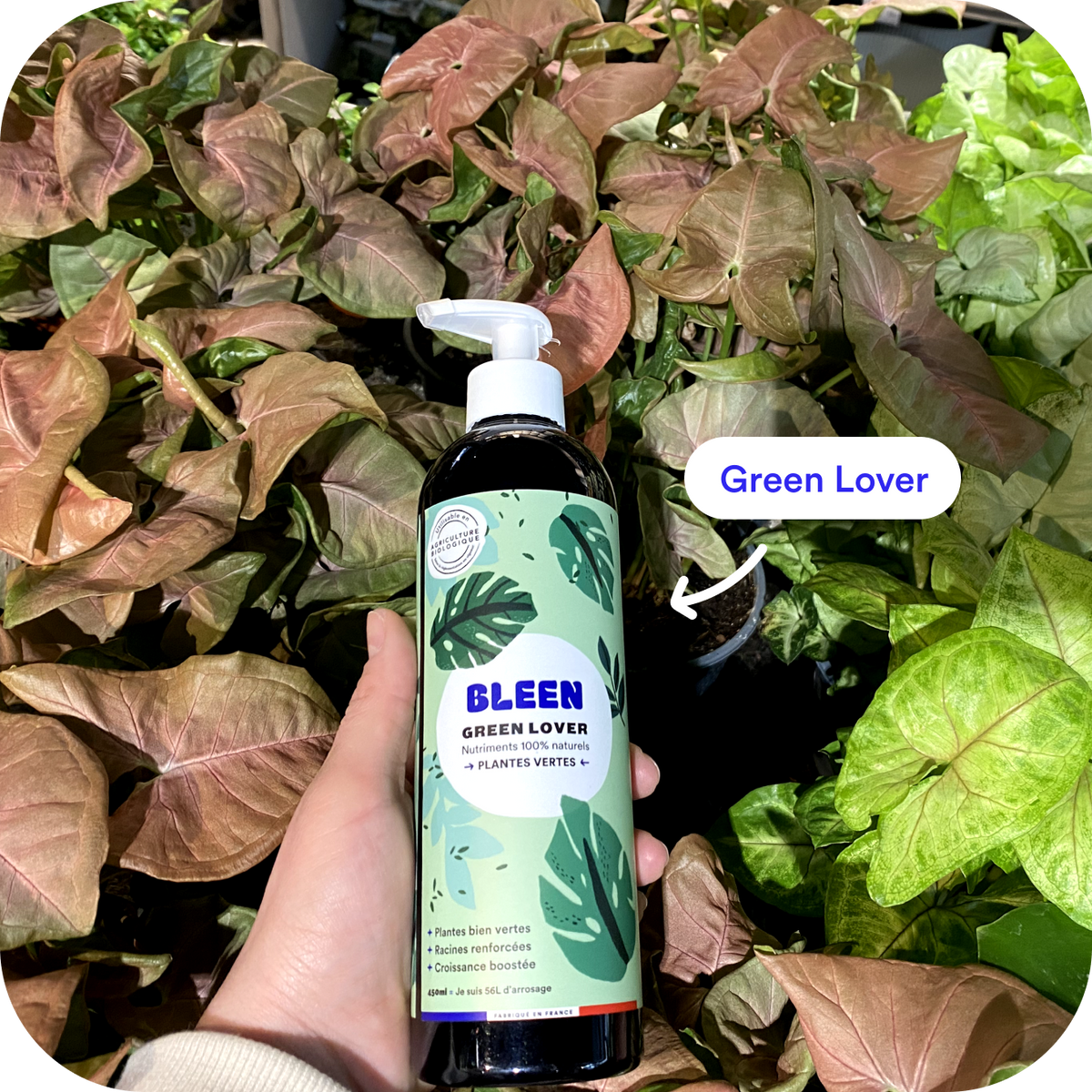 Kit premium engrais liquide naturel et bio pour plantes d'intérieur – Bleen