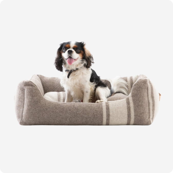 Lit pour chien en laine