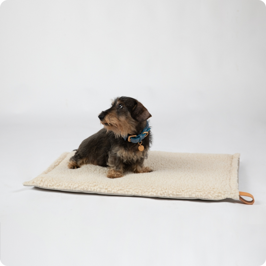 Coussin pour chien crème
