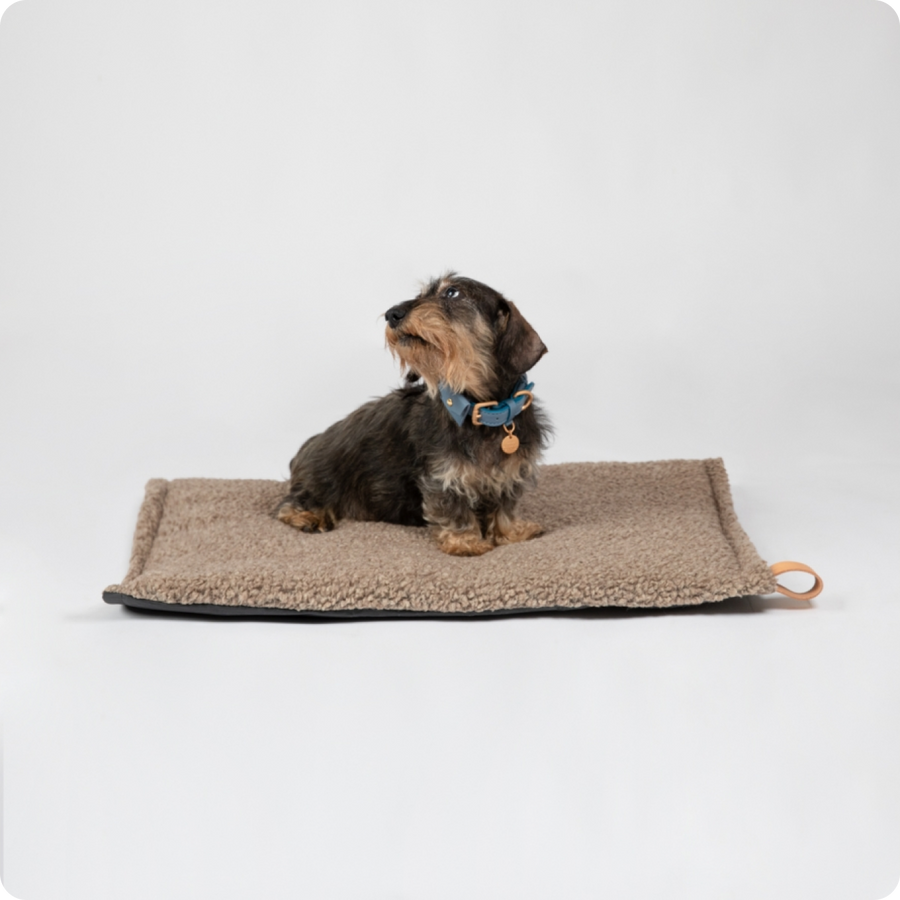 Coussin pour chien marron