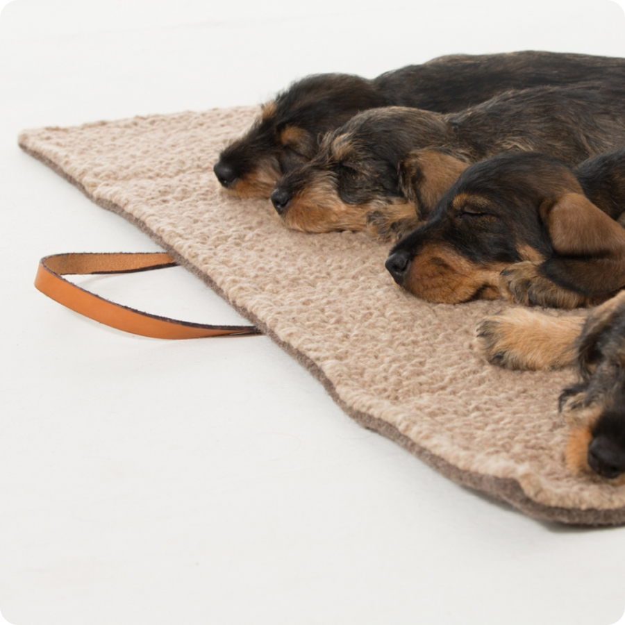 Tapis de voyage pliant