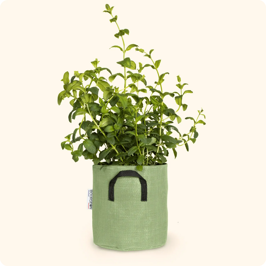 Pot de plantation géotextile respirant vert