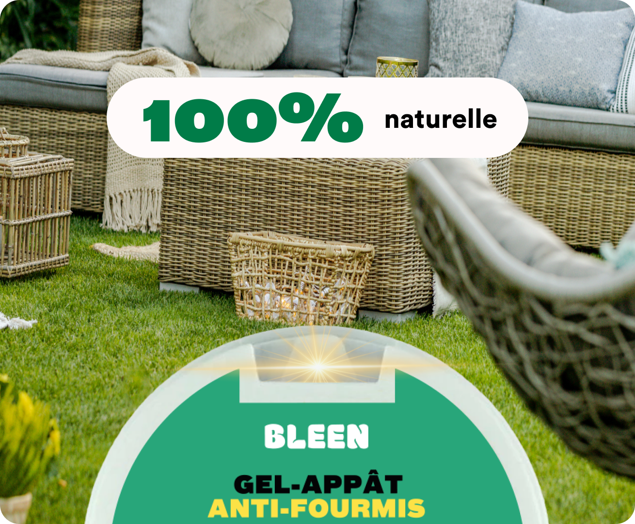 Gel appât anti-fourmis