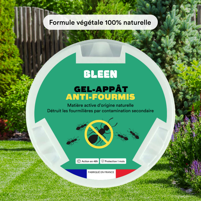 Gel appât anti-fourmis traitement rapide et efficace