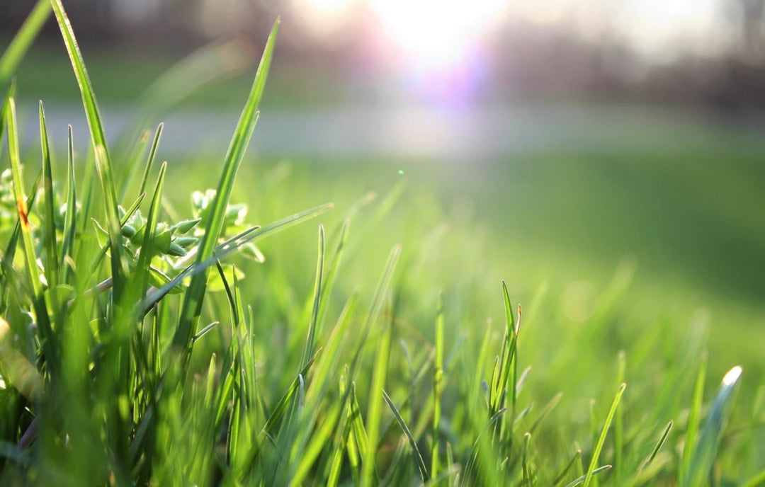 //mybleen.com/cdn/shopifycloud/storefront/assets/no-image-2048-a2addb12.gif