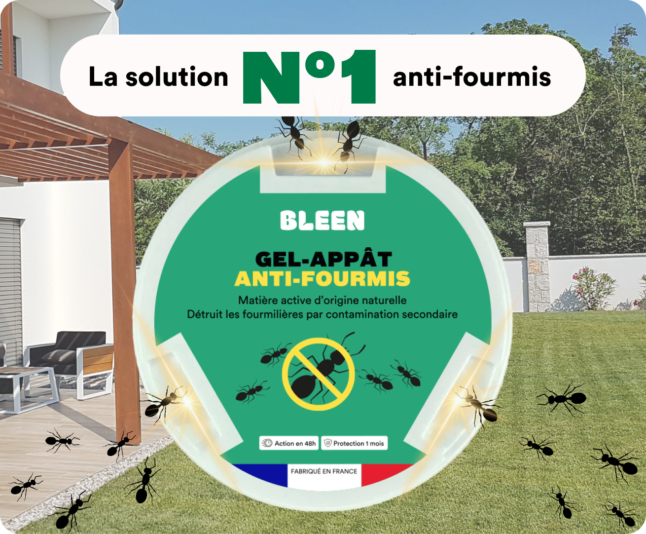 Gel appât anti-fourmis