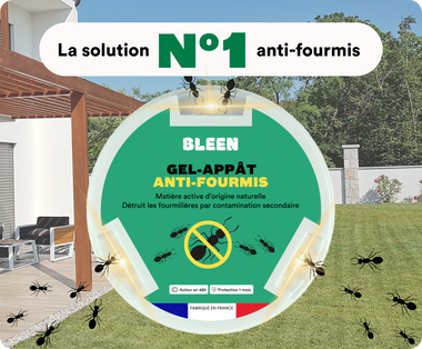 Gel appât anti-fourmis