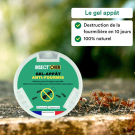 Pack anti-fourmis