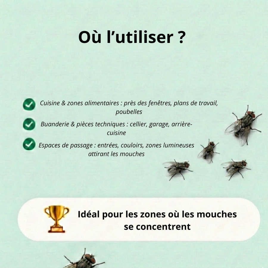 Piège à mouche et guêpes réutilisable