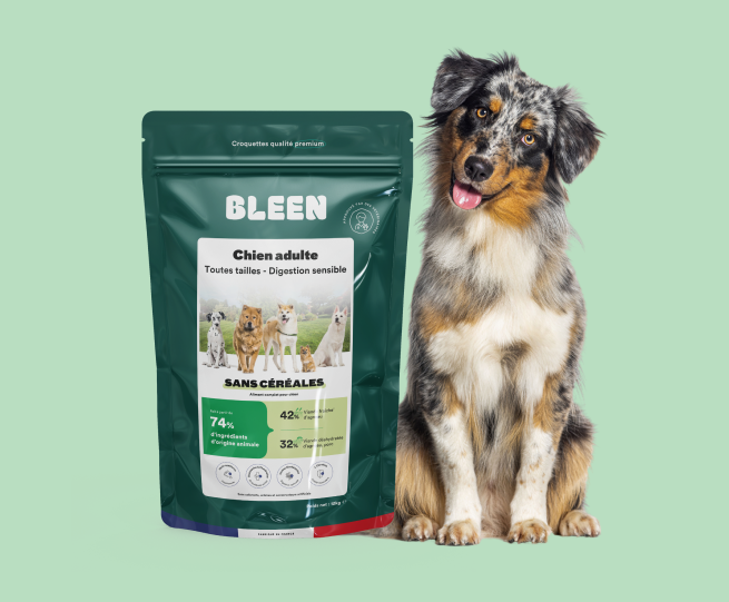 Croquettes nutritives et facile à digérer pour berger australien