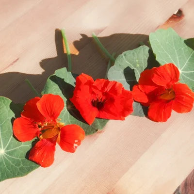 //mybleen.com/cdn/shopifycloud/storefront/assets/no-image-2048-a2addb12.gif