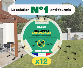 Anti-fourmis naturel